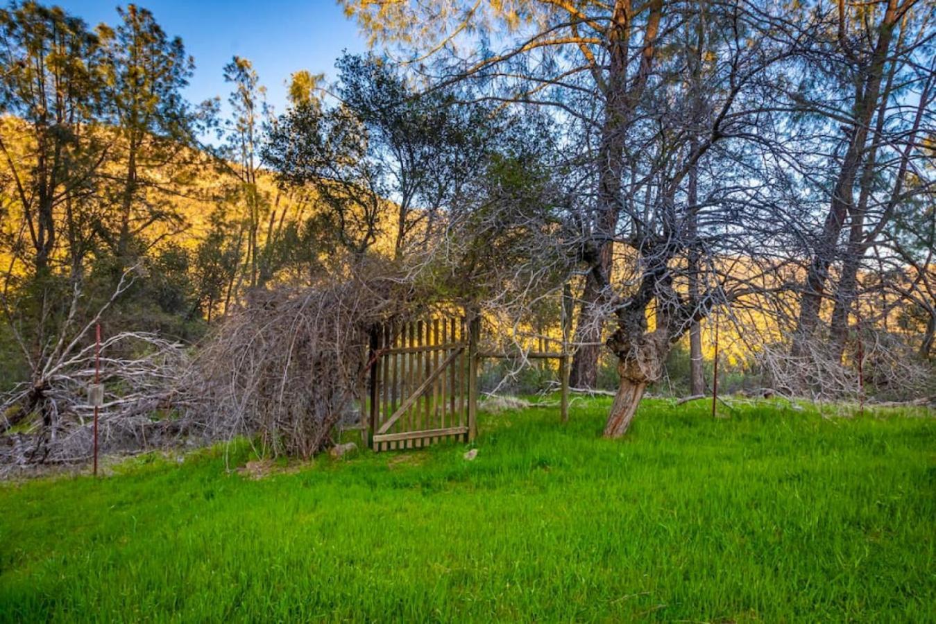 Sierra Vista Lookout Lodge With Creek, Waterfall And Waterholes, Minutes From Bass Lake And Yosemite South Gate North Fork Kültér fotó