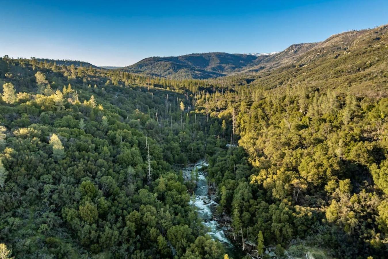 Sierra Vista Lookout Lodge With Creek, Waterfall And Waterholes, Minutes From Bass Lake And Yosemite South Gate North Fork Kültér fotó